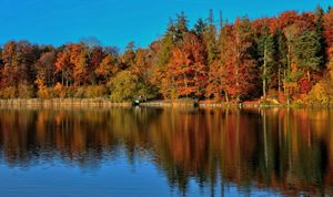 Why We Love Fall: The Magic, Beauty & Coziness