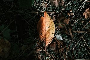 When is the Fall Equinox?