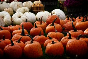 How to Make Your Home Feel Cozy for Fall
